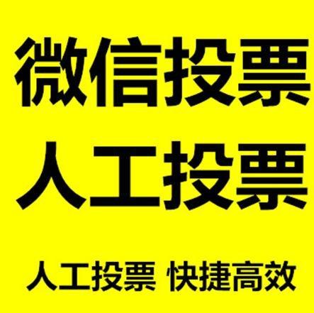 山南地区投票活动拉票能被查出来吗？如何操作能不被发现？